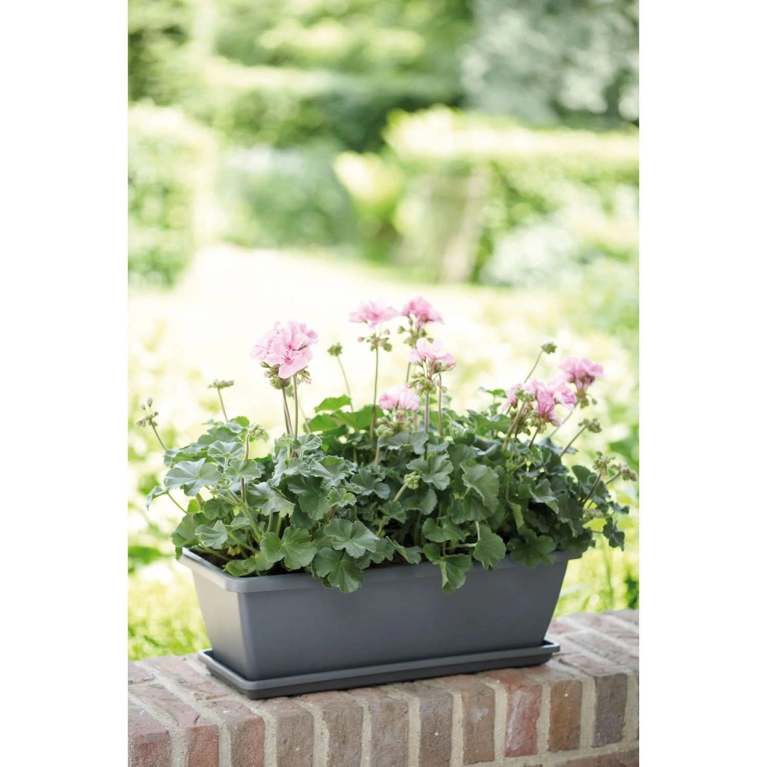 Elho Barcelona Trough Balkonbak 90 Antraciet - Afbeelding 2