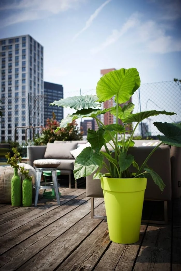 Elho Loft Urban Round High 28 Antraciet - Afbeelding 2