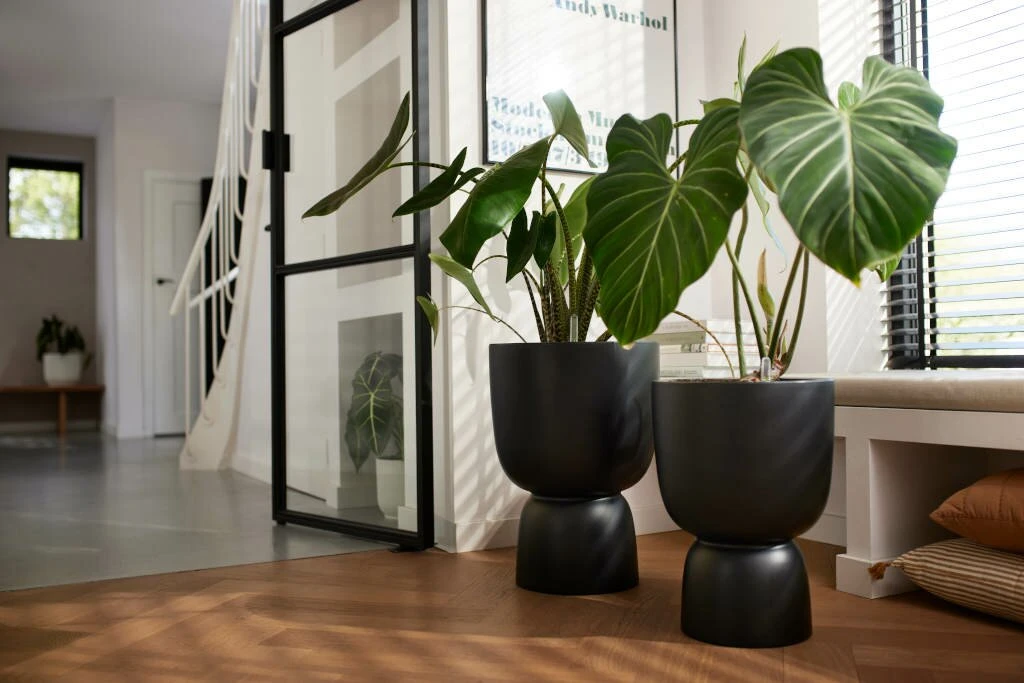 Elho Pure Coupe 35 Black - Afbeelding 2