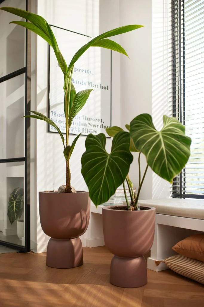 Elho Pure Coupe 35 Rosy Brown - Afbeelding 2