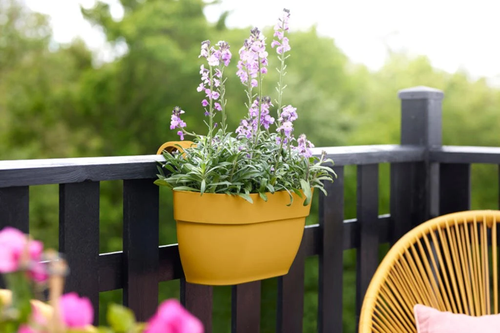 Elho Vibia Campana Easy Hanger Medium Honinggeel - Afbeelding 4