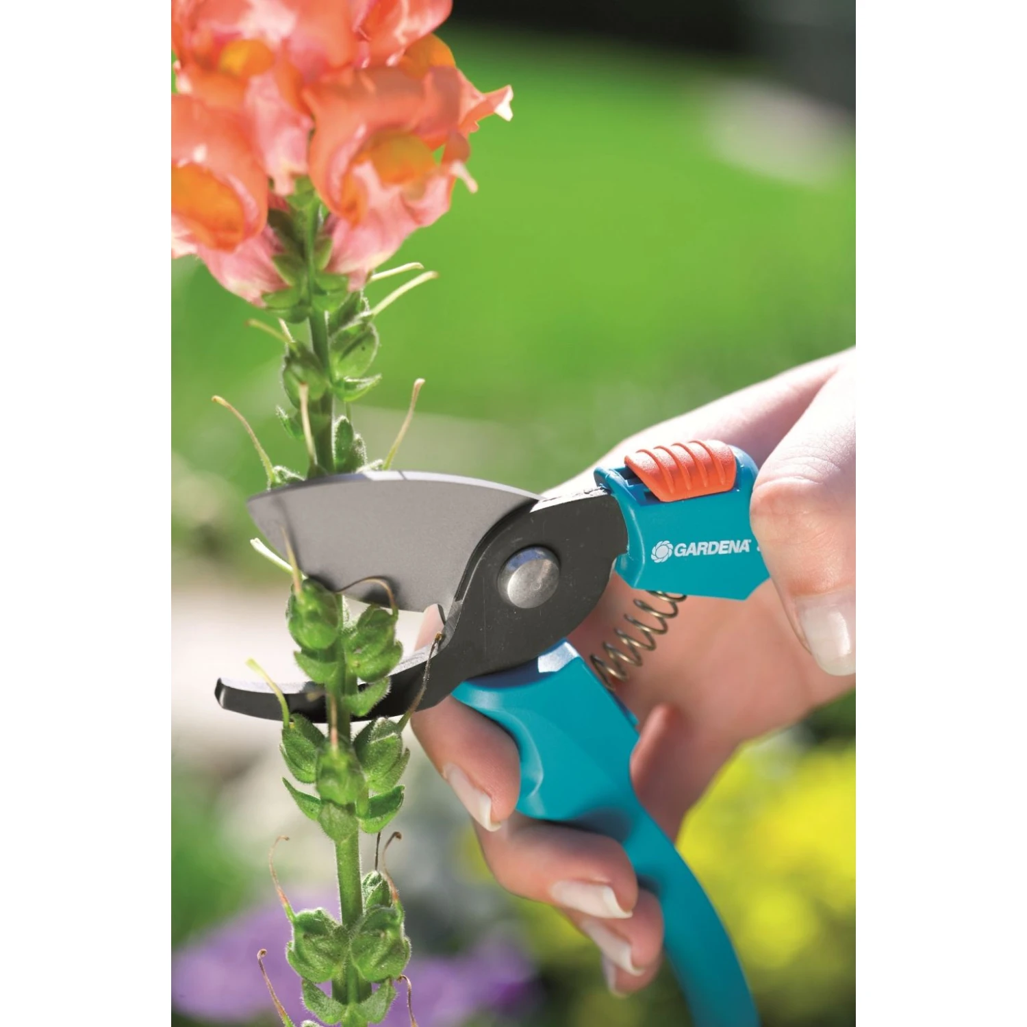 Gardena Classic Snoeischaar - Afbeelding 2